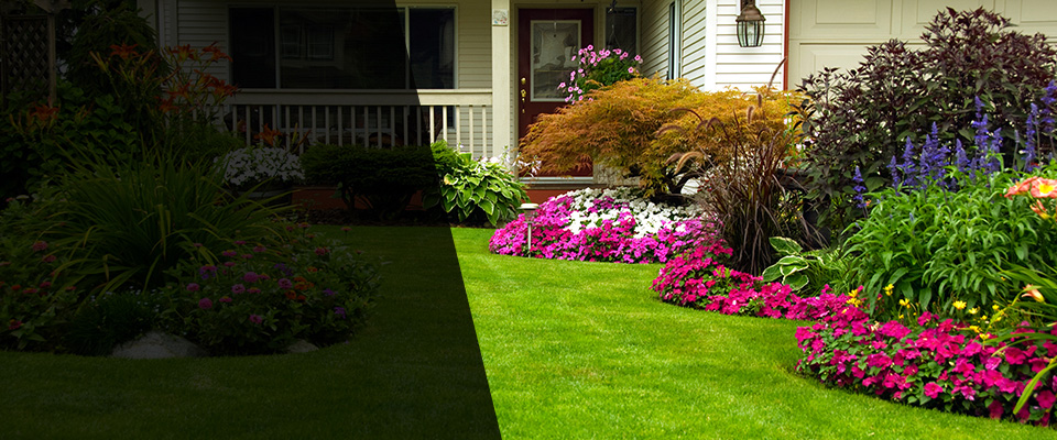 Cameron Landscapers