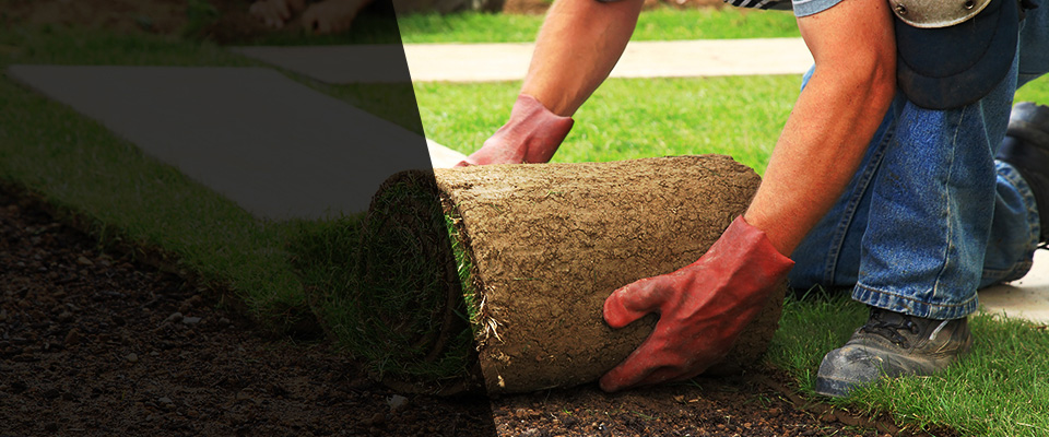 Cameron Landscapers